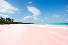 <em>Pink Sands Beach, Bahamas</em>